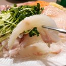 파회주차장 | 가락시장 회 포장 맛집 배달가능한 태평양수산