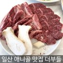 일산 맛집 풍동 맛집 고기 더부들 일산애니골본점