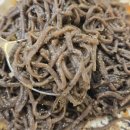 메밀의정석 이미지