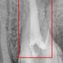 엠디치과의원 이미지