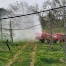 당진시농업기술센터 이미지