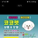 코코펫살롱&호텔 이미지