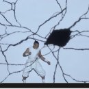 미라클코리아 이미지