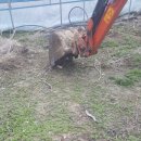 늘푸른황토방펜션 이미지