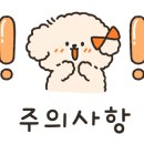 콜렉티보그랜드 이미지