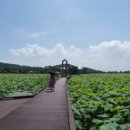 꽃돌농장 이미지