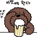 사월의 그루밍 이미지