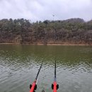 삼인낚시터 | 용인 삼인낚시터 로얄좌대 출조 후기