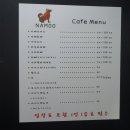 나무애견유치원 이미지