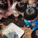 본아미강남어린이집 이미지