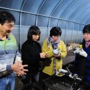 초록언덕펜션 이미지