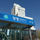양평해장국문화점 | 꼭 가보세요, 서울와서 계속 생각나는 원조 어무이맛양평해장국 본점 여행 맛집 추천 웨이팅 후기