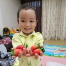 남기농장 이미지