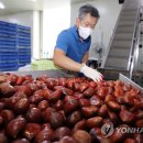 농협소태 이미지