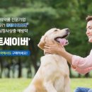 가까운 중앙 약국 이미지