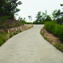 엄광산 동구경계 이미지