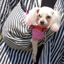 백년대로 189-2 | 목포 산책코스 입암산~용라산 등산로 다녀온후기