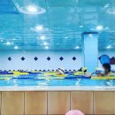 베스트 키즈풀 이미지