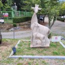 캠프예그리나 이미지