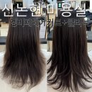 헤어커트 기본 | 신논현 기장추가없는미용실 엥비떼헤어 커트 + 클리닉 후기