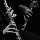 오늘도 플루트 이미지