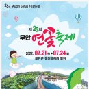 무안 연꽃축제 일정 2022 무안 회산백련지 국내 최대 연꽃 관람 7월에 다녀왔어요
