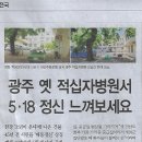 광주바로병원 Daum카페