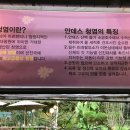 청계대청마루