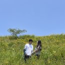 [거제도] 거제도 여행, 라벤더 금계국 개화시기 '지세포진성꽃동산' 주차장, 후기