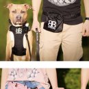 서촌동 댕번지 이미지