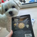 야탑서울동물병원 이미지