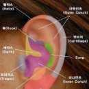 오전천로 | <일상> 울어도 하루, 웃어도 하루!