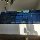 포항시북구20 이미지