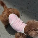 1357 쇼핑하우