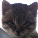 짱구야 놀자 이미지