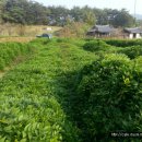 대형슈퍼 이미지