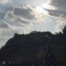 THE:쉼하우스 | 제네시스 프리빌리지 호텔 그랜드워커힐 서울 더뷔페 조식 후기