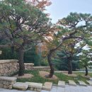 김진식세무회계사무소
