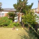 일출언덕신산게스트하우스 이미지