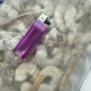 주식회사 다이아몬드새우 네이버블로그