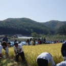 솔바우마을 이미지