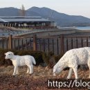 꽃내중학교 이미지