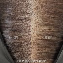 꼼꼼헤어 이미지