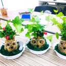 나를 찾아가는 그림책 진로테라피 이미지