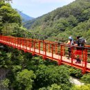 강천산군립공원(현수교) 이미지