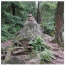 세천3로 이미지