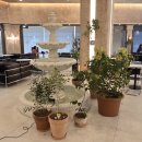 루트커피 이미지