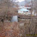 금진3리 이미지