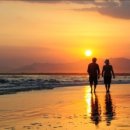 온라인)시낭송 아카데미 이미지