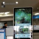 ㈜제주스타렌탈2 | 제주 스타 렌터카 - 55inch 스탠드형 DID 사용 후기
